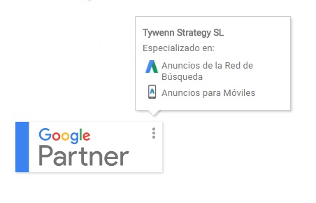 ¿Que es Google Partner?