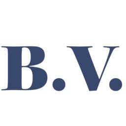 logotipo_BV-01